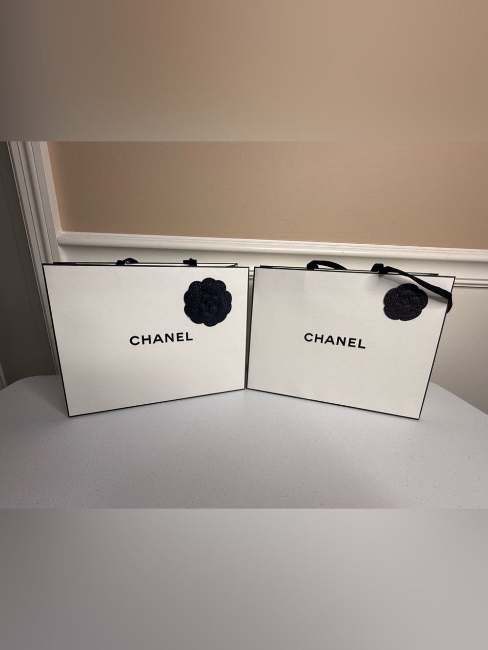 Luxury Shopping Bags, including Dior, Chanel, Prada, & Gucci. - Picture 4 of 12
